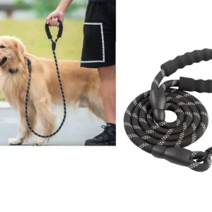 kort hundkoppel med mjukt handtag och reflex